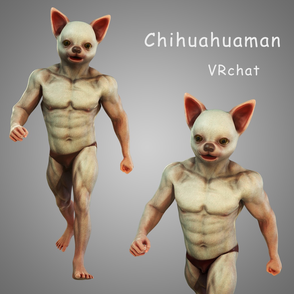 強いチワワ