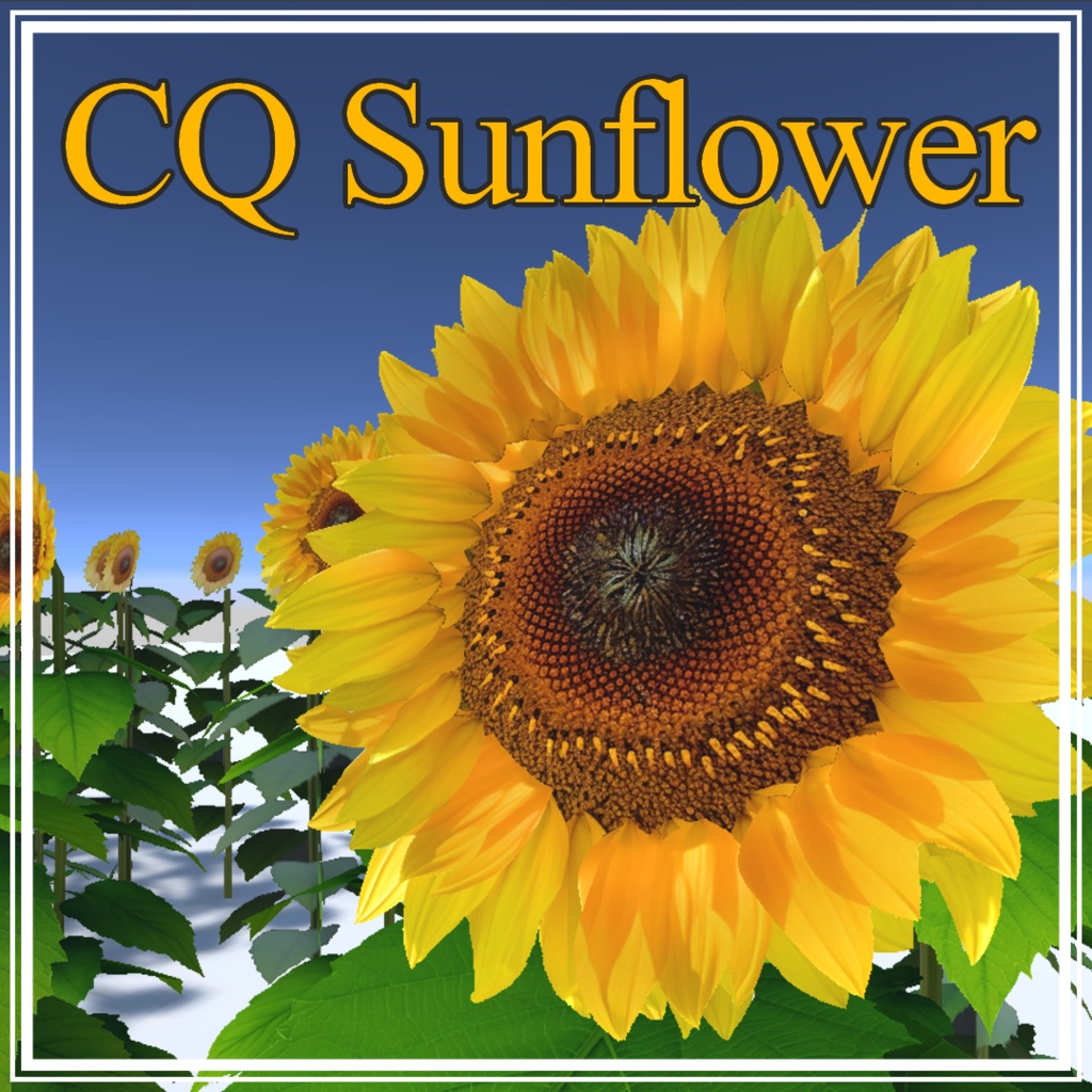 CQ Sunflower