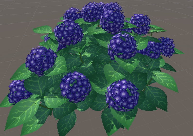 紫陽花(Hydrangea)