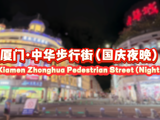 3D Scan·厦门·中华步行街（国庆夜晚）＼Xiamen · Zhonghua Pedestrian Street（Night）＃8
