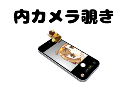 内カメ覗き込むかわいいやつを撮れる