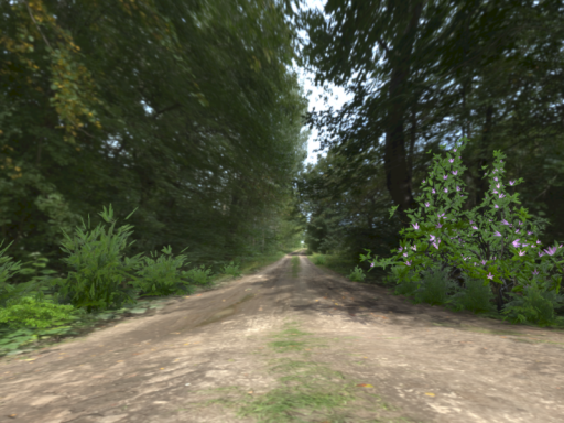 ZealotDKD HDRI dome