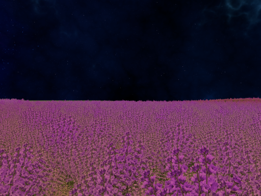 Lavender Valley