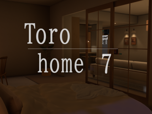 Toro home 7