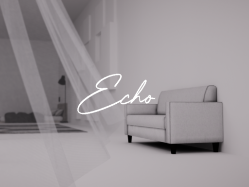 Echo