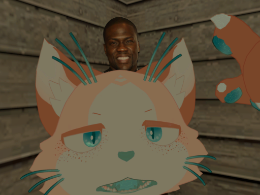 Nuci's avatar world