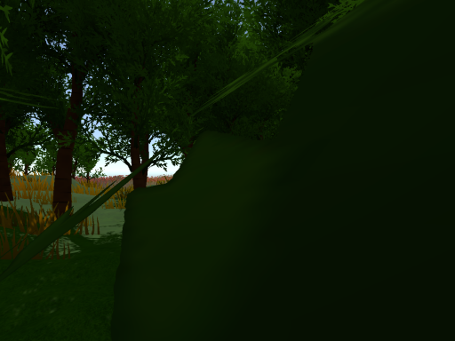 Valley