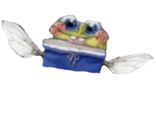 Spongefly room