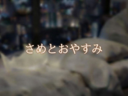 さめとおやすみ