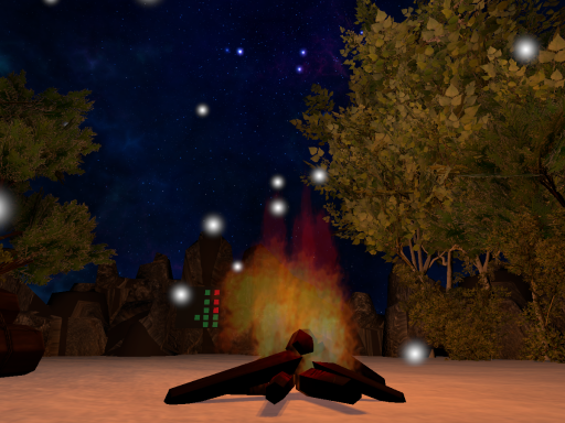 Night Camp