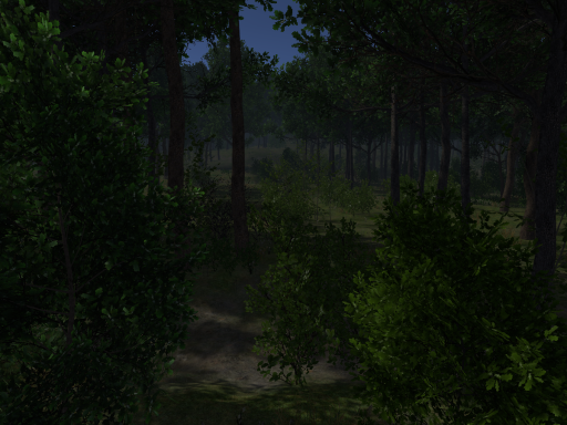 Endless Oak Forest
