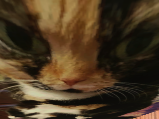 chonkercon