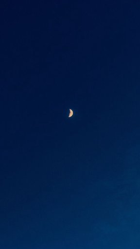 晚