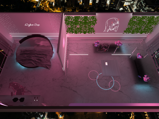 Cyber