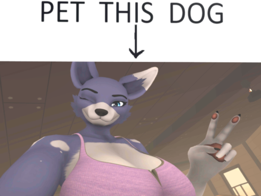 Pet Zone