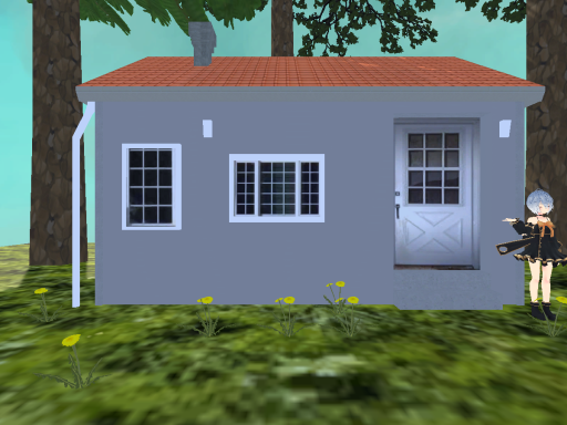 shrink house