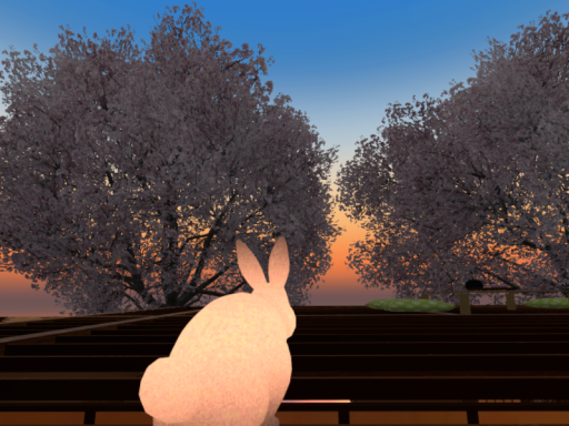 和庵うさぎ -rabbit chill room-
