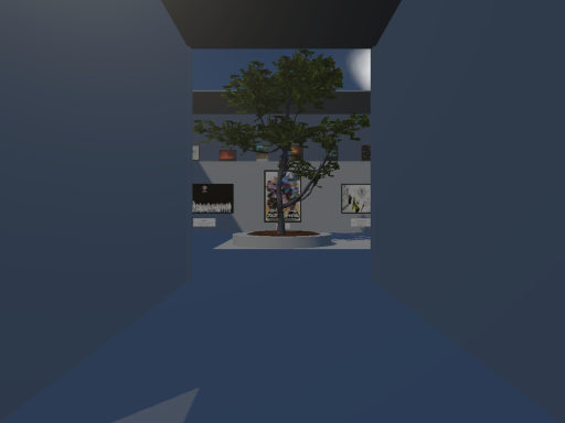 【更新停止】SoraNoShimaArtMuseum（空ノ島美術館） ver 02․53