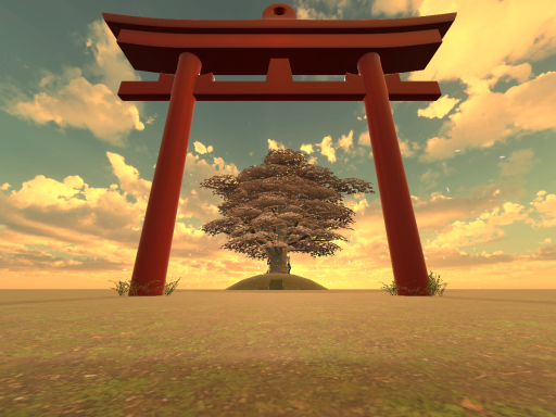 Sunset Cherry