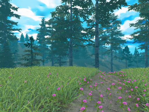 Flower Field