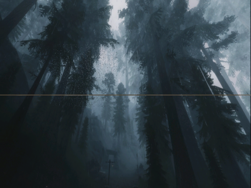 Rainy Forest