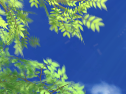 穴にいる
