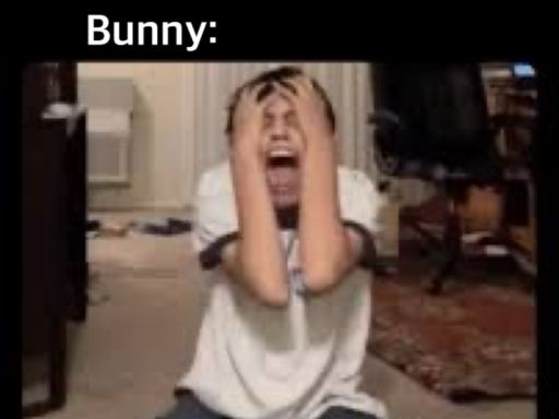 bunnys pair of dice