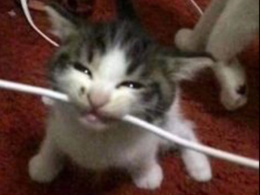 KittyKafeǃ