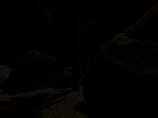 home in the woods