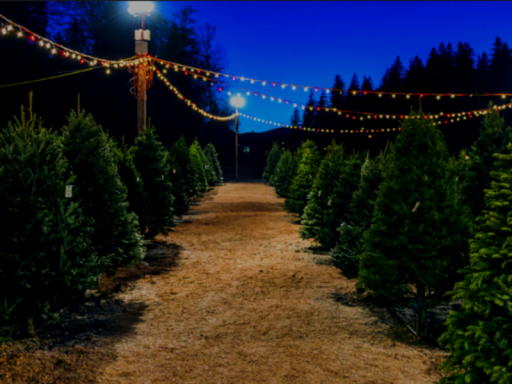 Tree Farm