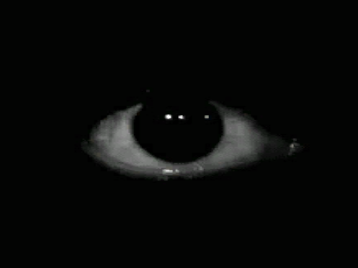 Horror Darkness Escape