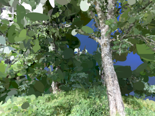 edens real life scans
