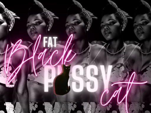 The Fat Black P∗∗∗Y Cat