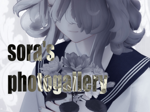 sora's photogallery