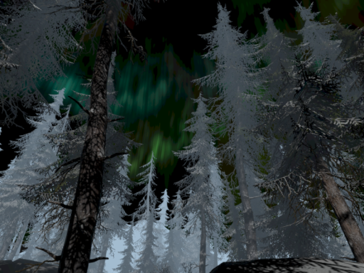 Winter forest