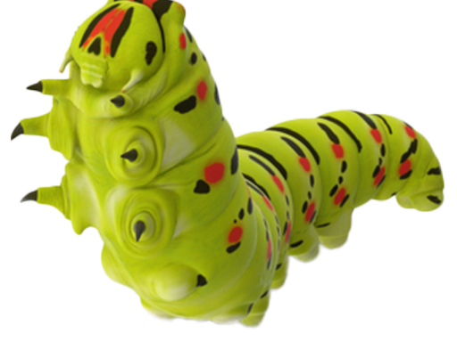 Furry Caterpillar
