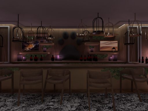 The Kitty Kafe 小猫咖啡馆