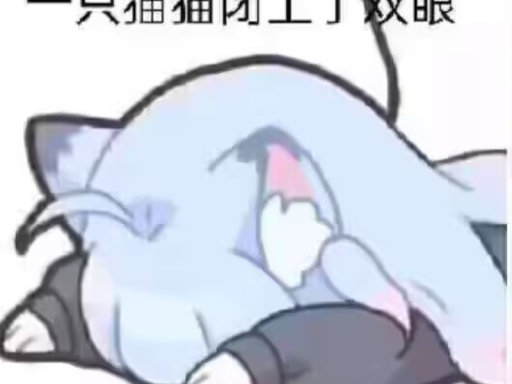 TIMO的家