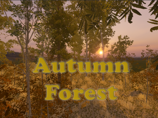 Autumn Forest