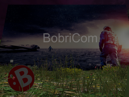 BobriCom