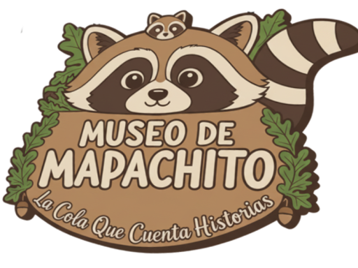 Museo mapachito