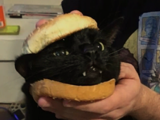 Bread