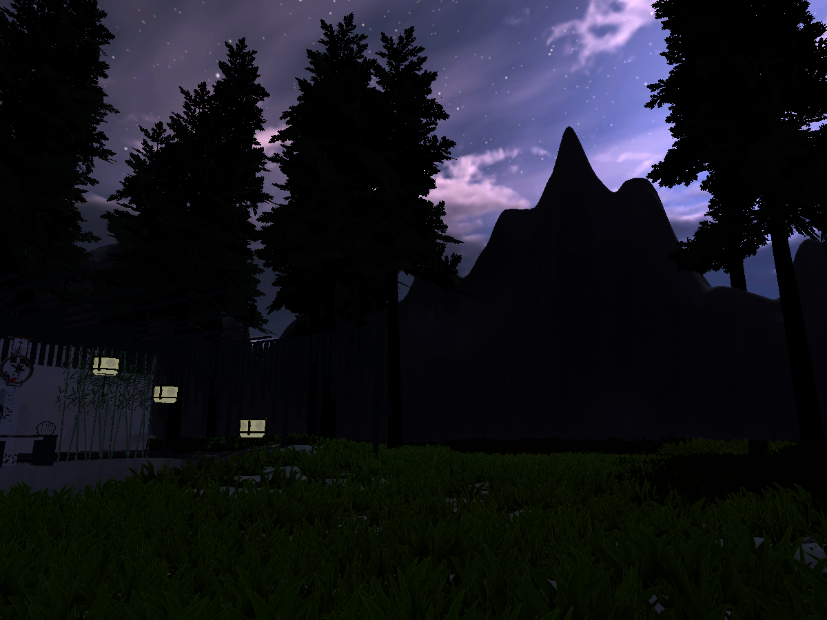 Moonlit Forest