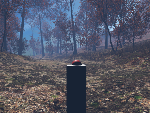 Peaceful forest