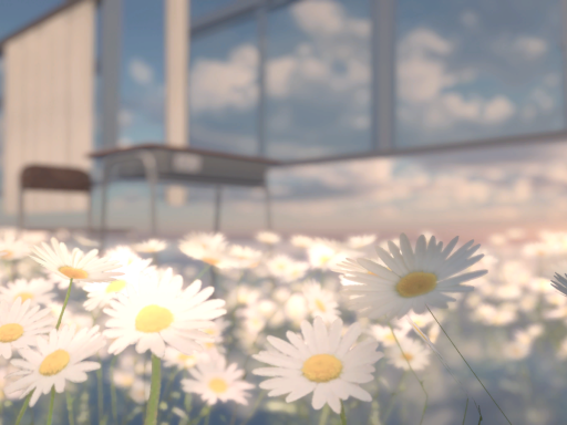 glass room