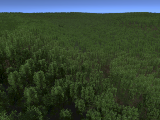 The Forest