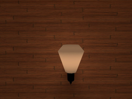 The room of the rain quest （3）