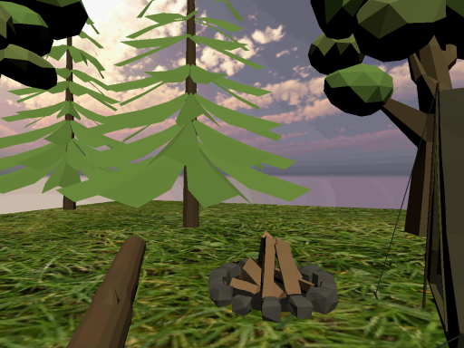 Camped Forest