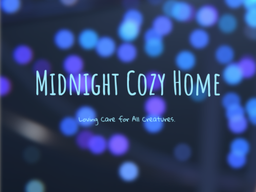 Midnight Cozy Home
