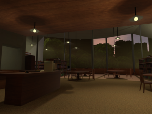 Cozy School Library